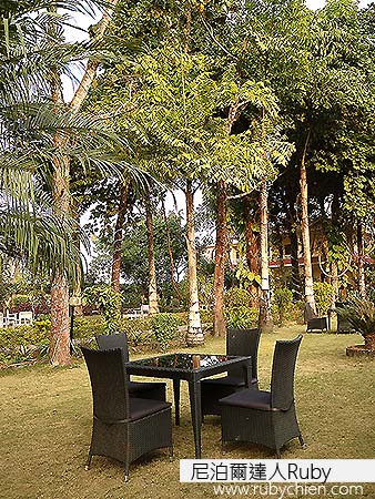 溫暖的冬陽下，能在這綠意環抱的庭院裡閒坐一會兒、喝一壺熱騰騰的奶茶，是多麼享受啊！